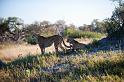 20090618_075605 D3 X1